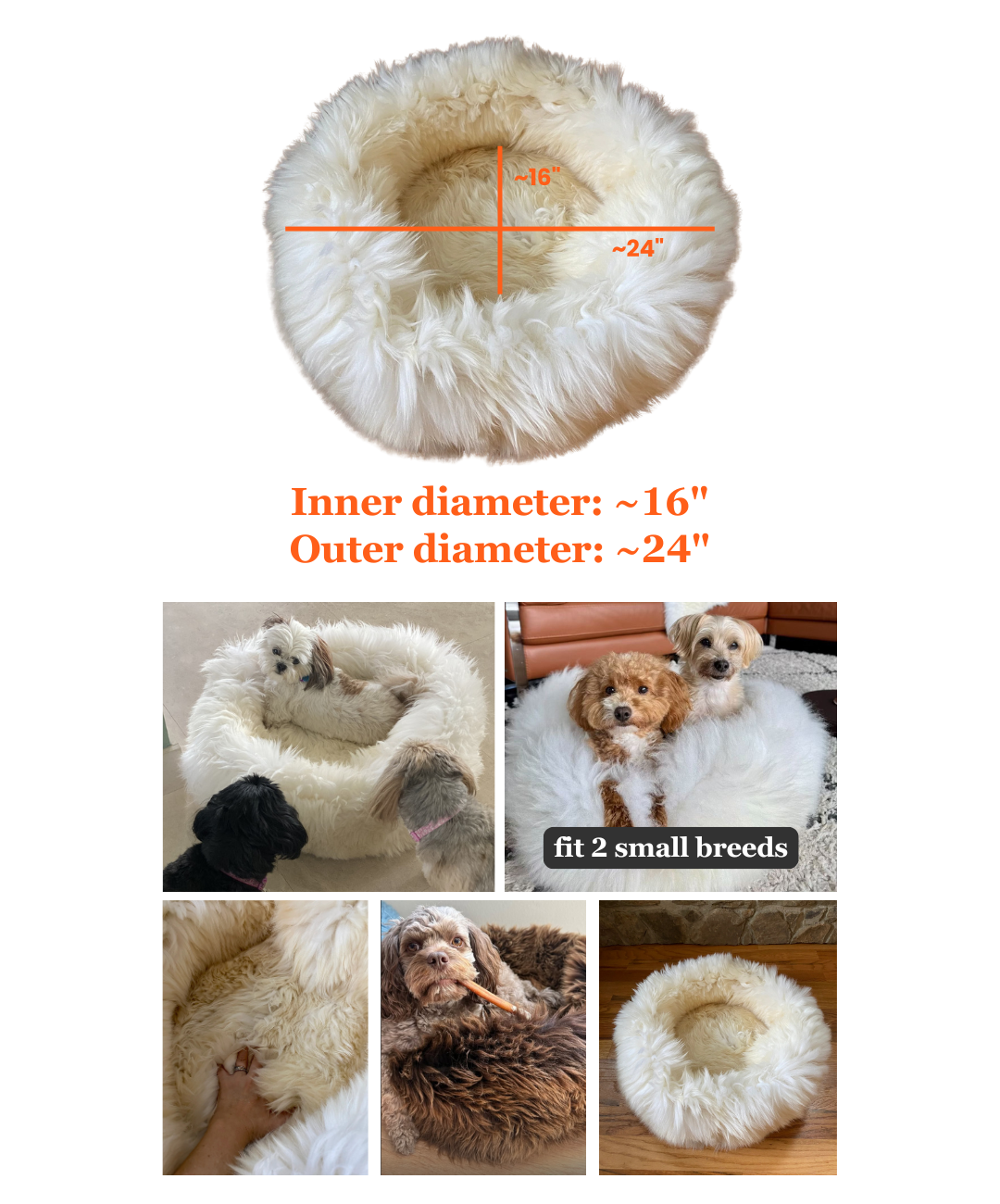 MEDIUM Ivory Sheepskin Pet Bed