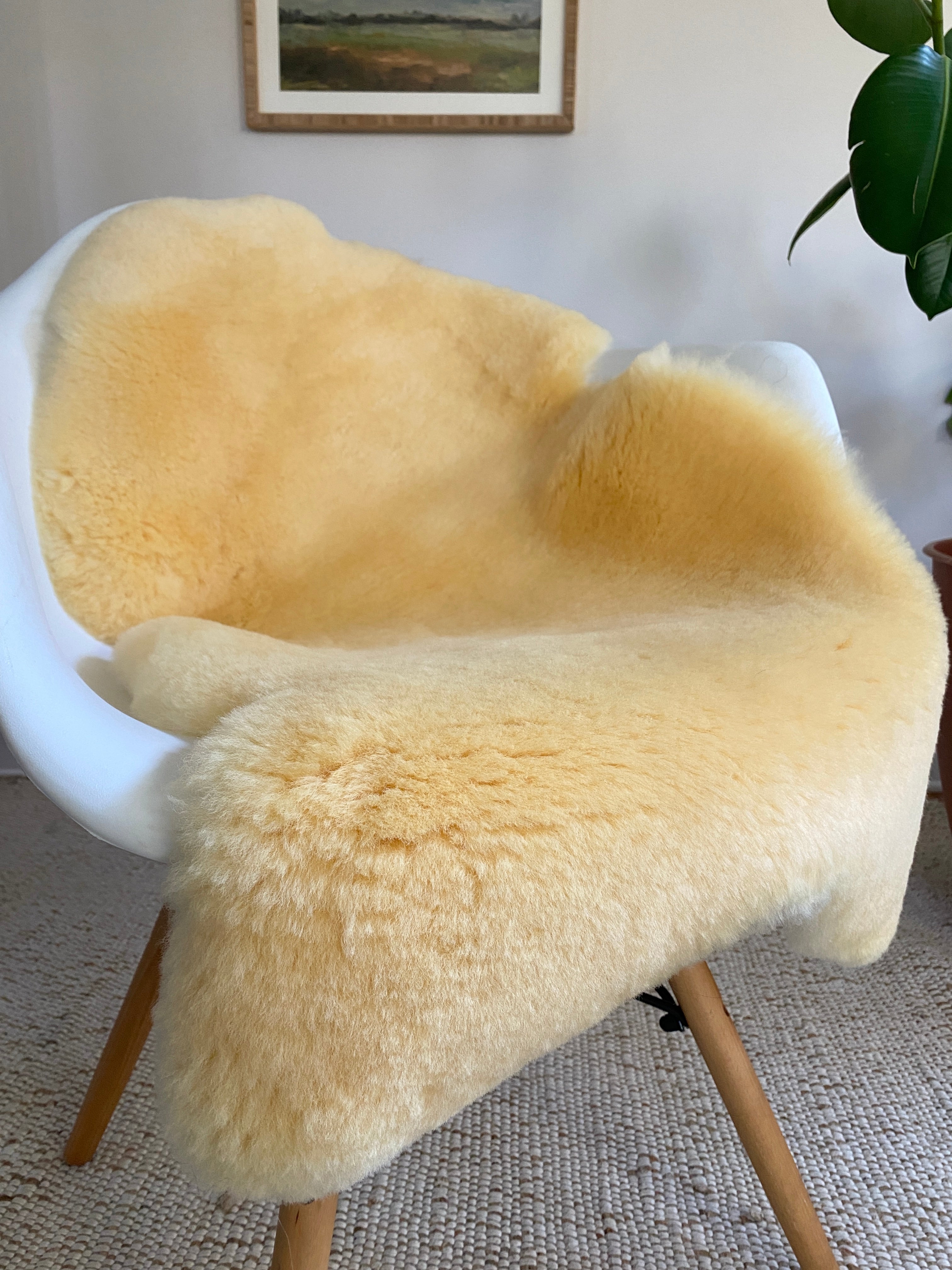 Bassinet Sheepskin: Medical Grade (Small)