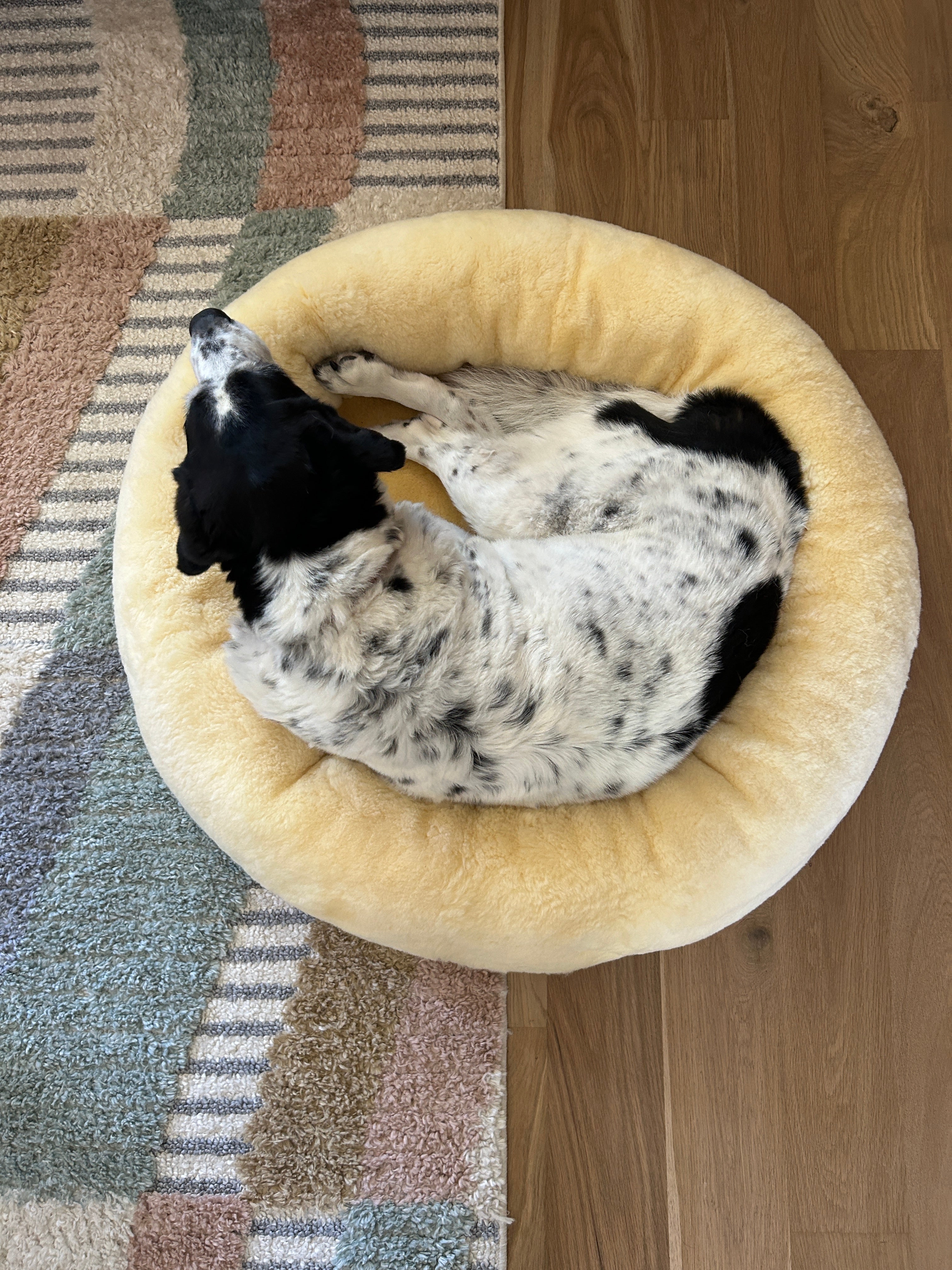 SNUGLY Short Fur Sheepskin Dog Beds
