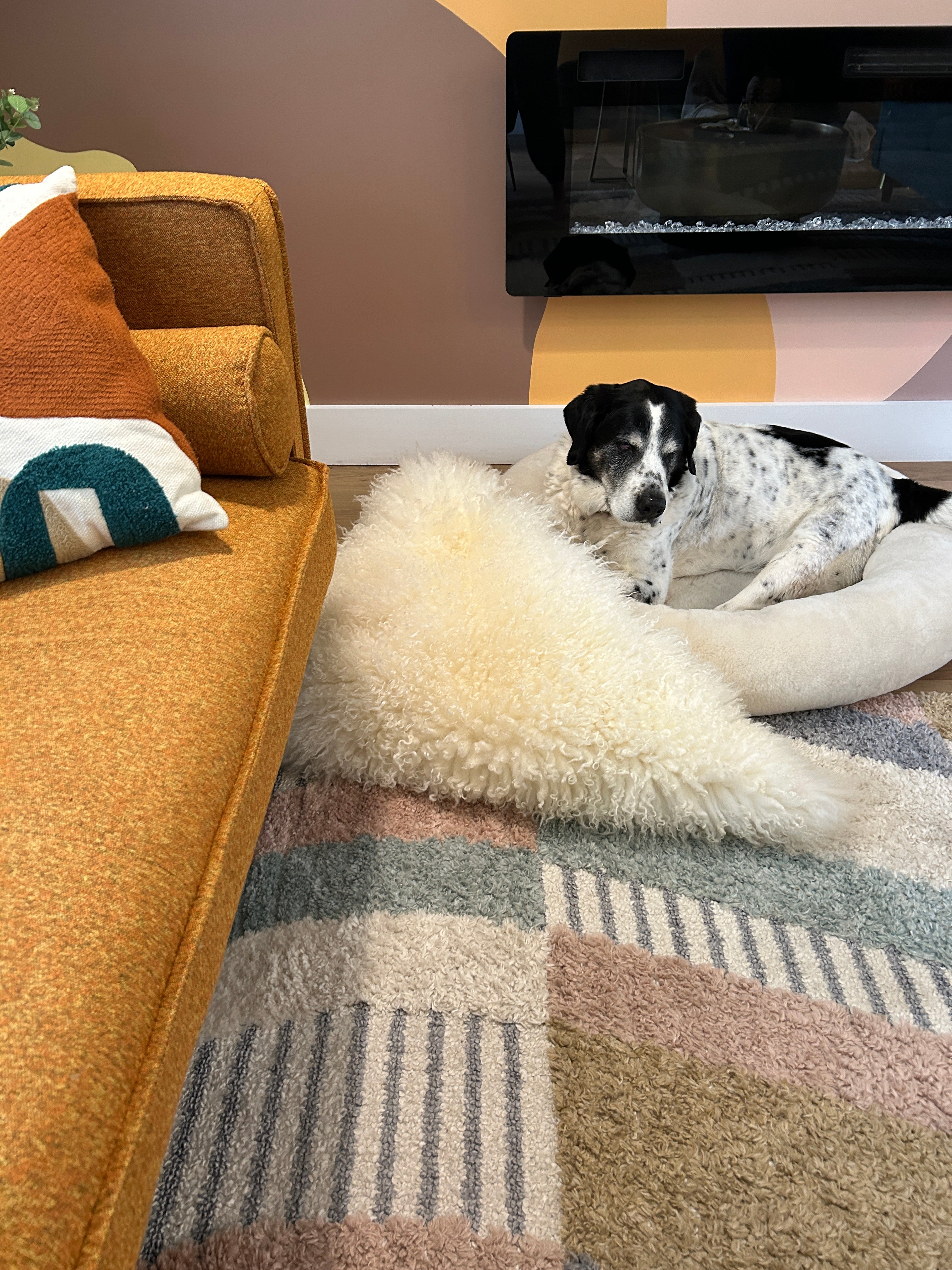SNUGLY Short Fur Sheepskin Dog Beds