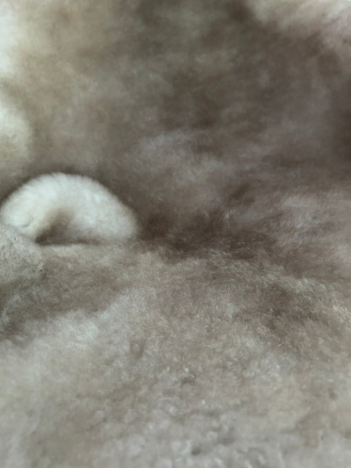Greyish Brown Shortfur Sheepskin