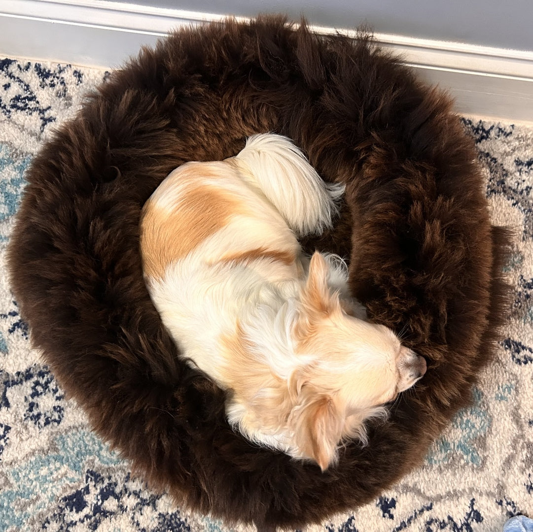SMALL Ivory Sheepskin Pet Bed