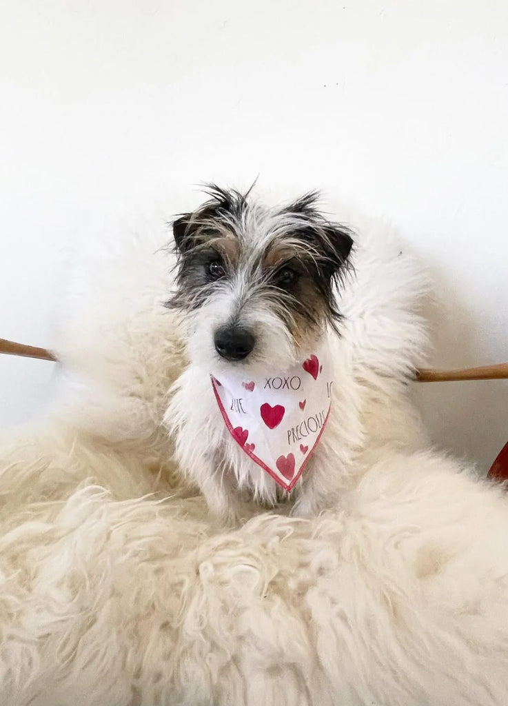 Dog wearing a bandana with heart patterns on sheepskin for dogs
