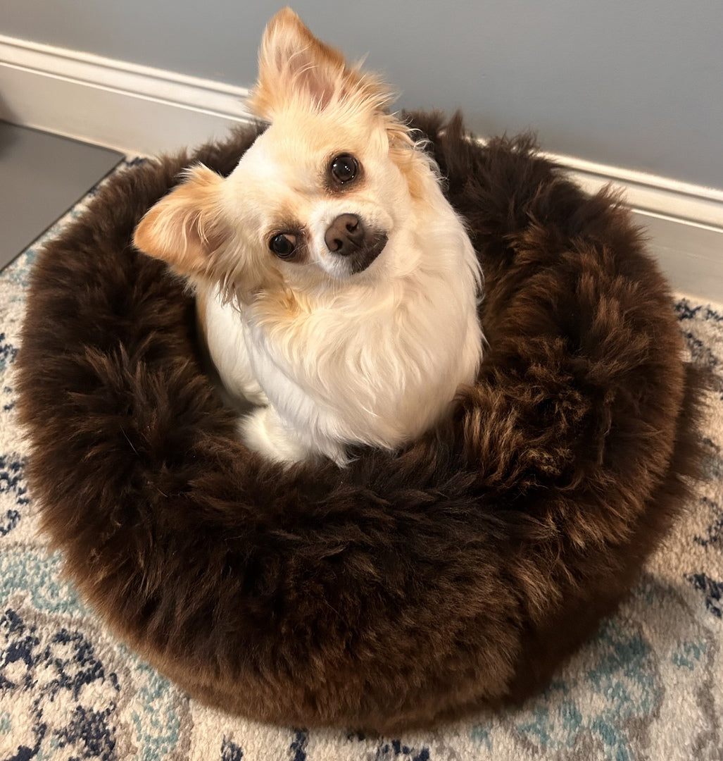 SMALL Ivory Sheepskin Pet Bed