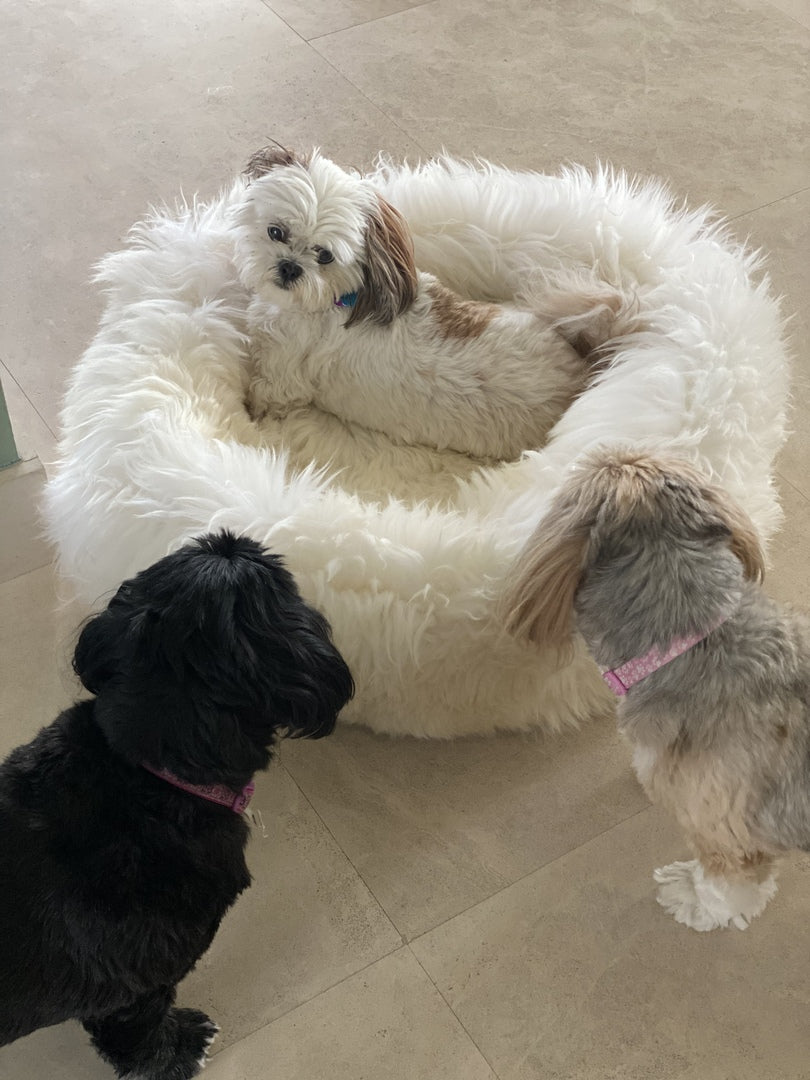 MEDIUM Brown Sheepskin Pet Bed